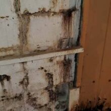 Water issues in basement causing mold and foundation failure