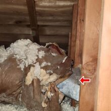 Vent pipe improperly venting into attic