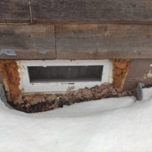 Window