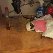 Water damage under sink from past leaking and evidence of mouse activity