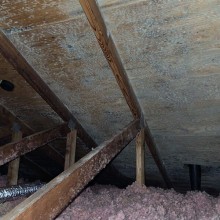 Green mold in attic