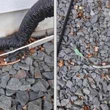 Exposed Electrical Wiring