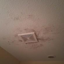 Mold and moisture
